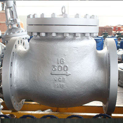 Swing Check Valve